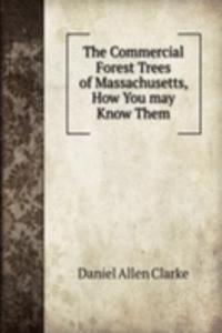 Commercial Forest Trees of Massachusetts, How You may Know Them