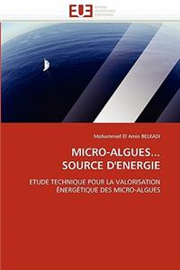 Micro-Algues... Source d''energie