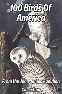 100 Birds of America VOLUME 1