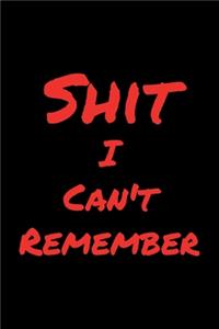 Shit I Can't Remember