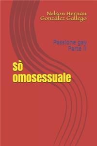 Sò omosessuale