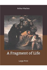 A Fragment of Life