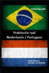 Praktische taal