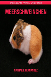 Meerschweinchen