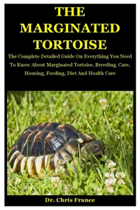 The Marginated Tortoise