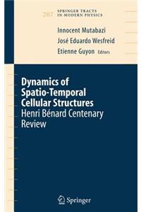 Dynamics of Spatio-Temporal Cellular Structures