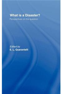 What is a Disaster?
