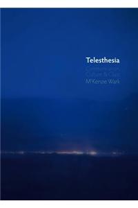 Telesthesia: Communication, Culture, and Class
