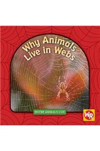 Why Animals Live in Webs