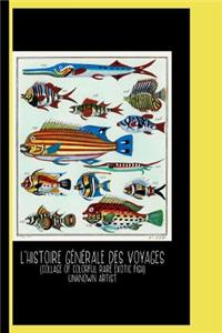 L'Histoire Générale des Voyages (1747-1780) by Unknown Artist