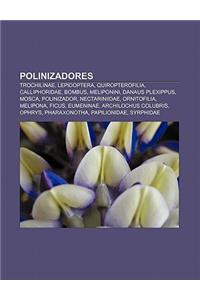 Polinizadores