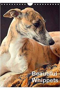 Beautiful Whippets 2017: Whippets are Small English Sighthounds (Calvendo Animals)