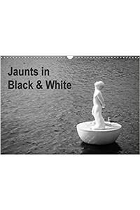 Jaunts in Black and White 2017