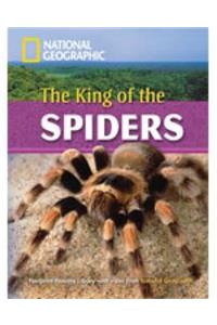 The King of the Spiders + Book with Multi-ROM