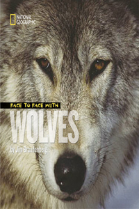 Face to Face with Wolves