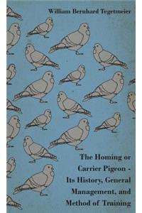 The Homing Or Carrier Pigeon