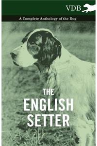 The English Setter - A Complete Anthology of the Dog
