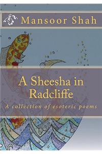 A Sheesha in Radcliffe