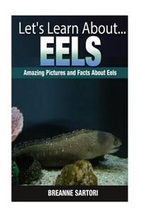 Eels: Amazing Pictures and Facts about Eels