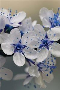 Floral Journal: 160 Page Lined Journal/Notebook