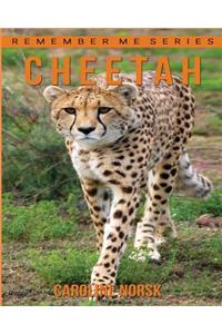 Cheetah