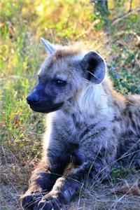 Spotted Hyena Animal Journal