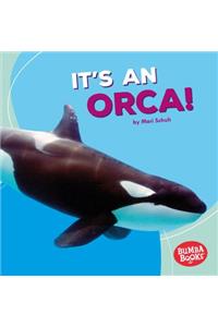 It's an Orca!