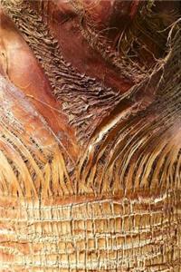 Palm Tree Bark Nature Journal