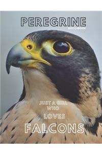 Peregrine falcon Sketchbook Large sketchbook for drawing 8.5 x 11 inch (21.59 x 27.94 cm) 150 pages