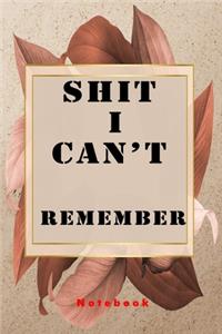 Shit I Can't Remember