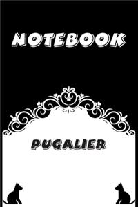 Pugalier Notebook