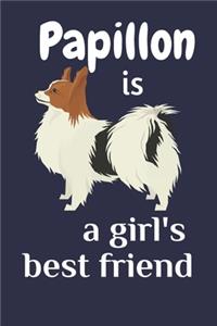 Papillon is a girl's best friend