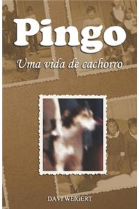 Pingo