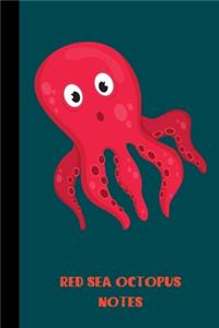 red sea octopus notes
