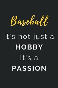 Baseball It's not just a Hobby It's a Passion