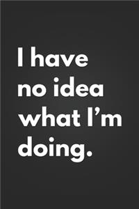 I Have No Idea What I'm Doing