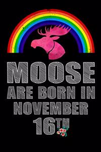 Moose Are Born In November 16th