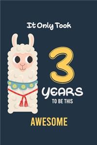 It Only Took 3 Years to be this Awesome