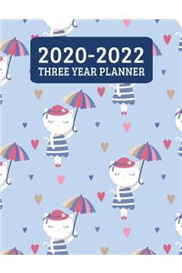 2020-2022 Three Year Planner