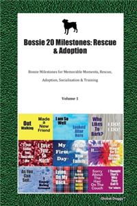Bossie 20 Milestones