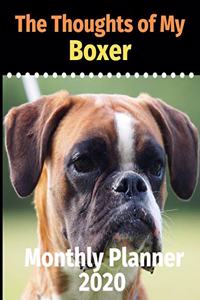 The Thoughts of My Boxer