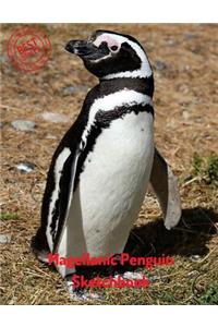 Magellanic Penguin Sketchbook