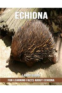 Fun Learning Facts about Echidna