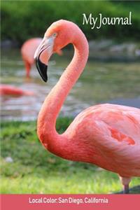 My Journal