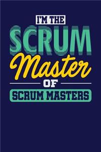 I'm the Scrum Master of Scrum Masters