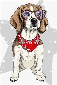 Beagle Notebook