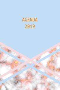 Agenda 2019: Semana Vista - Mármol Azul Rosa Y Oro - Organizador Día Página Español - 52 Semanas Enero a Diciembre 2019