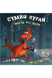 Llyfr Hwyl Dwli/ Dwli's Fun Book: Cymru Gyfan/ Wales All Over