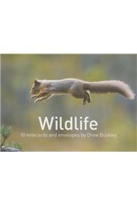 Wildlife by Drew Buckley Notecards