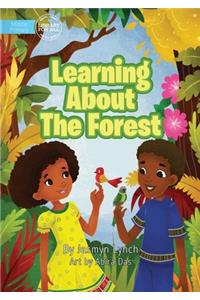 Learning About The Forest